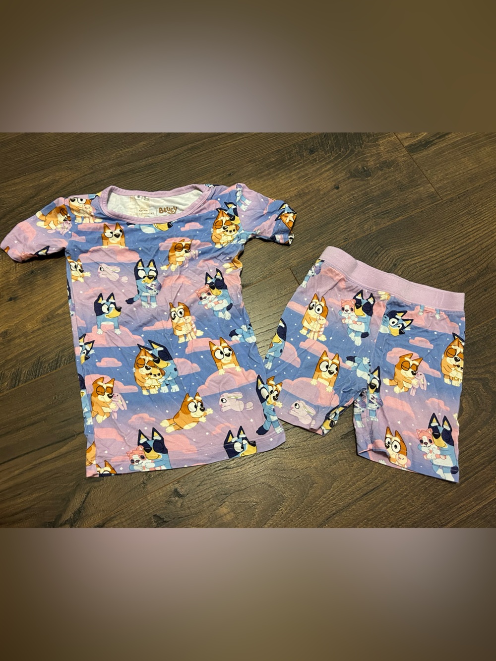 Little Sleepies Bluey Short set